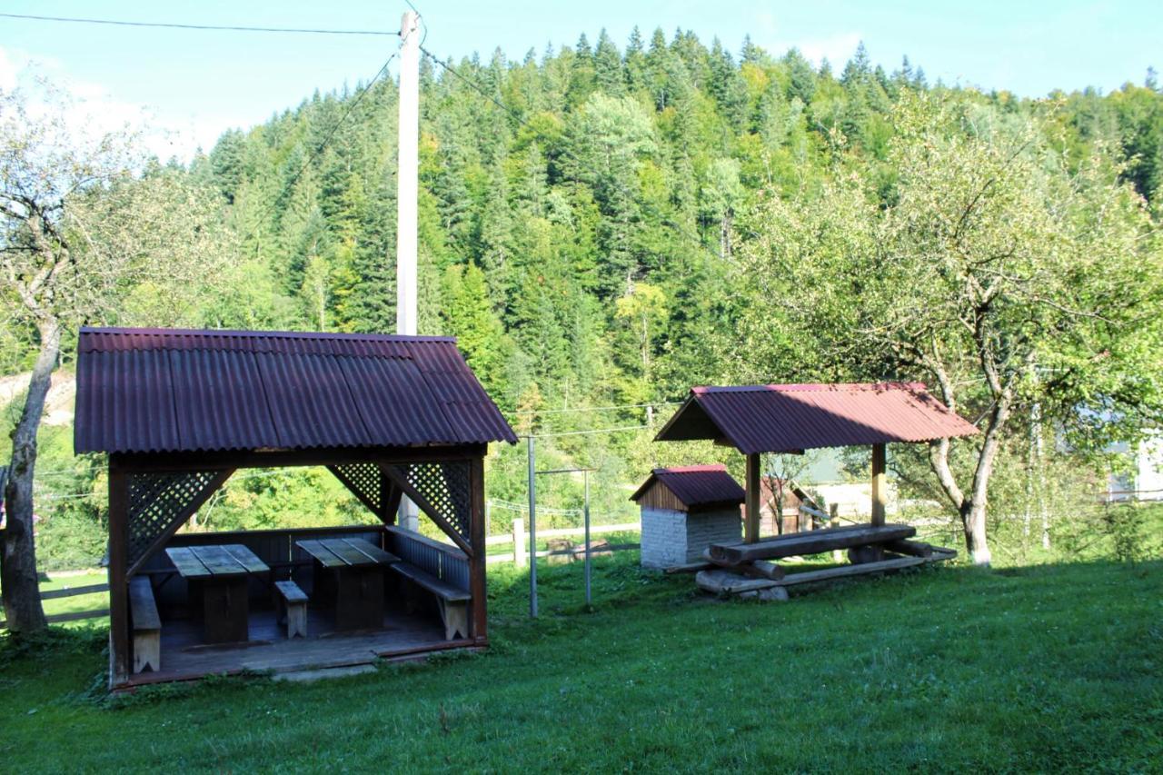 Cottage "Karpatske Shale" Γιαρέμτσε Εξωτερικό φωτογραφία