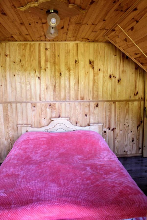 Cottage "Karpatske Shale" Γιαρέμτσε Εξωτερικό φωτογραφία