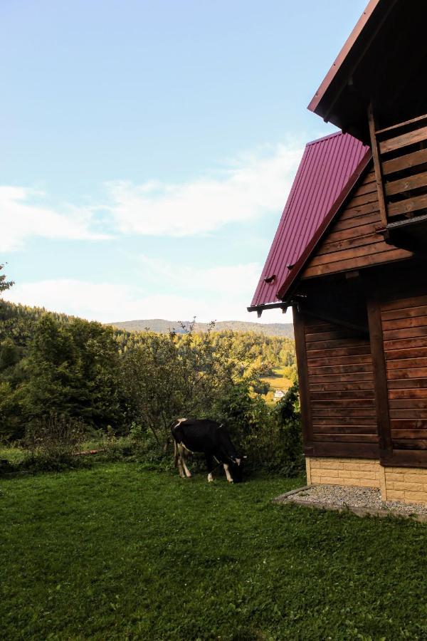 Cottage "Karpatske Shale" Γιαρέμτσε Εξωτερικό φωτογραφία