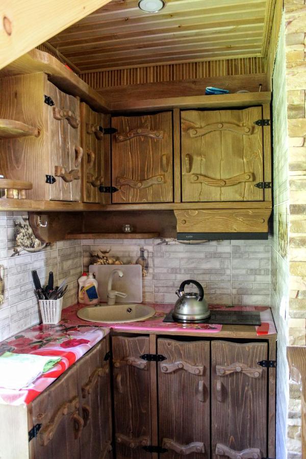 Cottage "Karpatske Shale" Γιαρέμτσε Εξωτερικό φωτογραφία