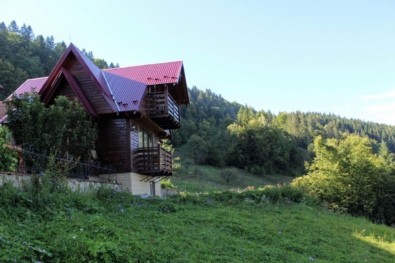Cottage "Karpatske Shale" Γιαρέμτσε Εξωτερικό φωτογραφία