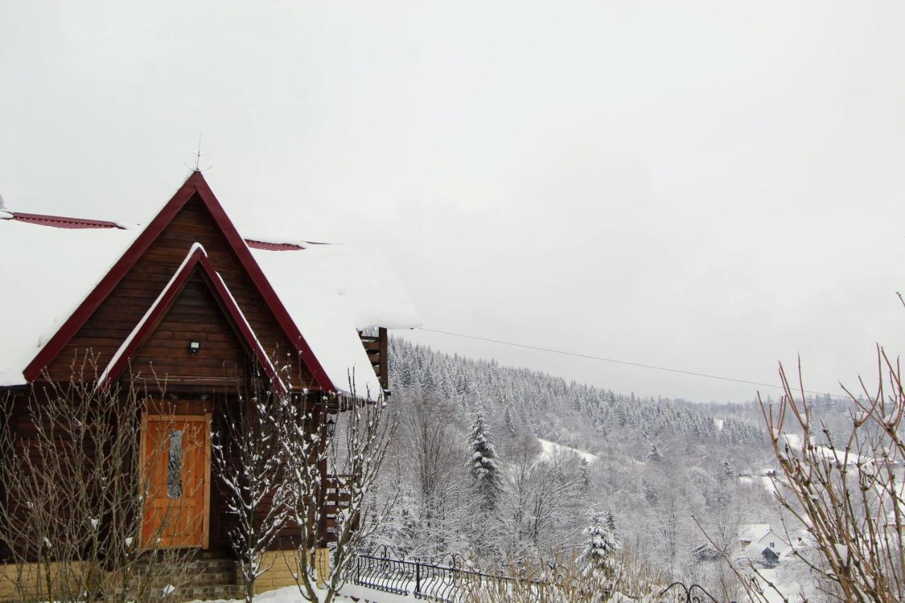 Cottage "Karpatske Shale" Γιαρέμτσε Εξωτερικό φωτογραφία