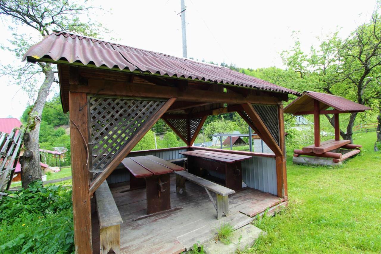 Cottage "Karpatske Shale" Γιαρέμτσε Εξωτερικό φωτογραφία