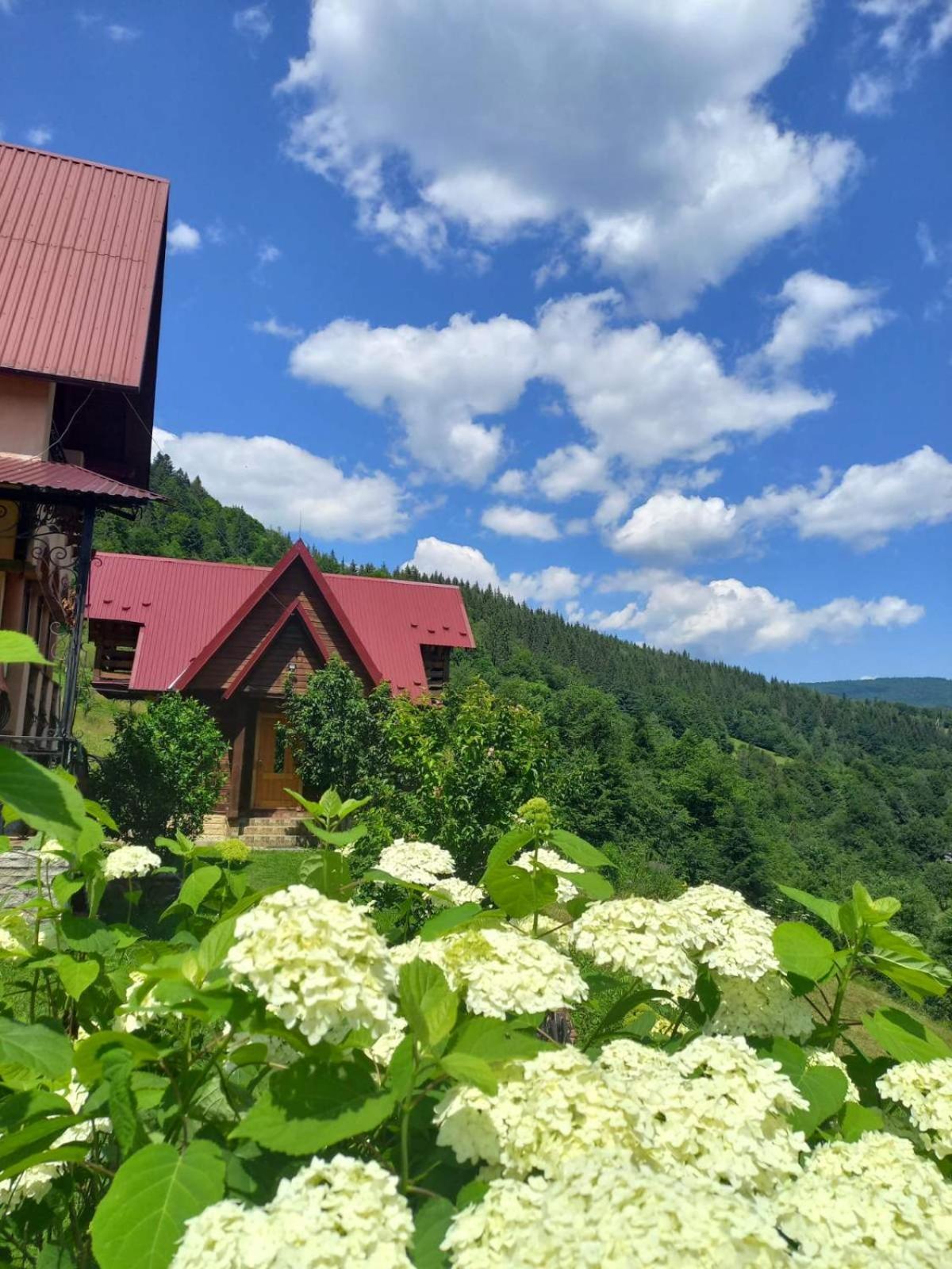 Cottage "Karpatske Shale" Γιαρέμτσε Εξωτερικό φωτογραφία